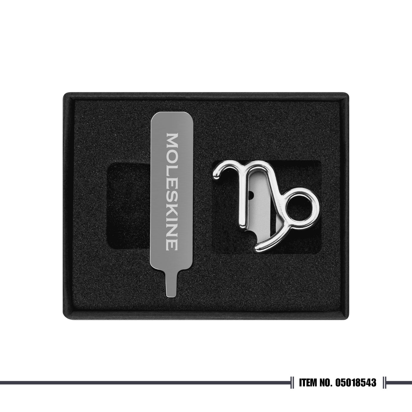 Moleskine Zodiac Pins - Silver
