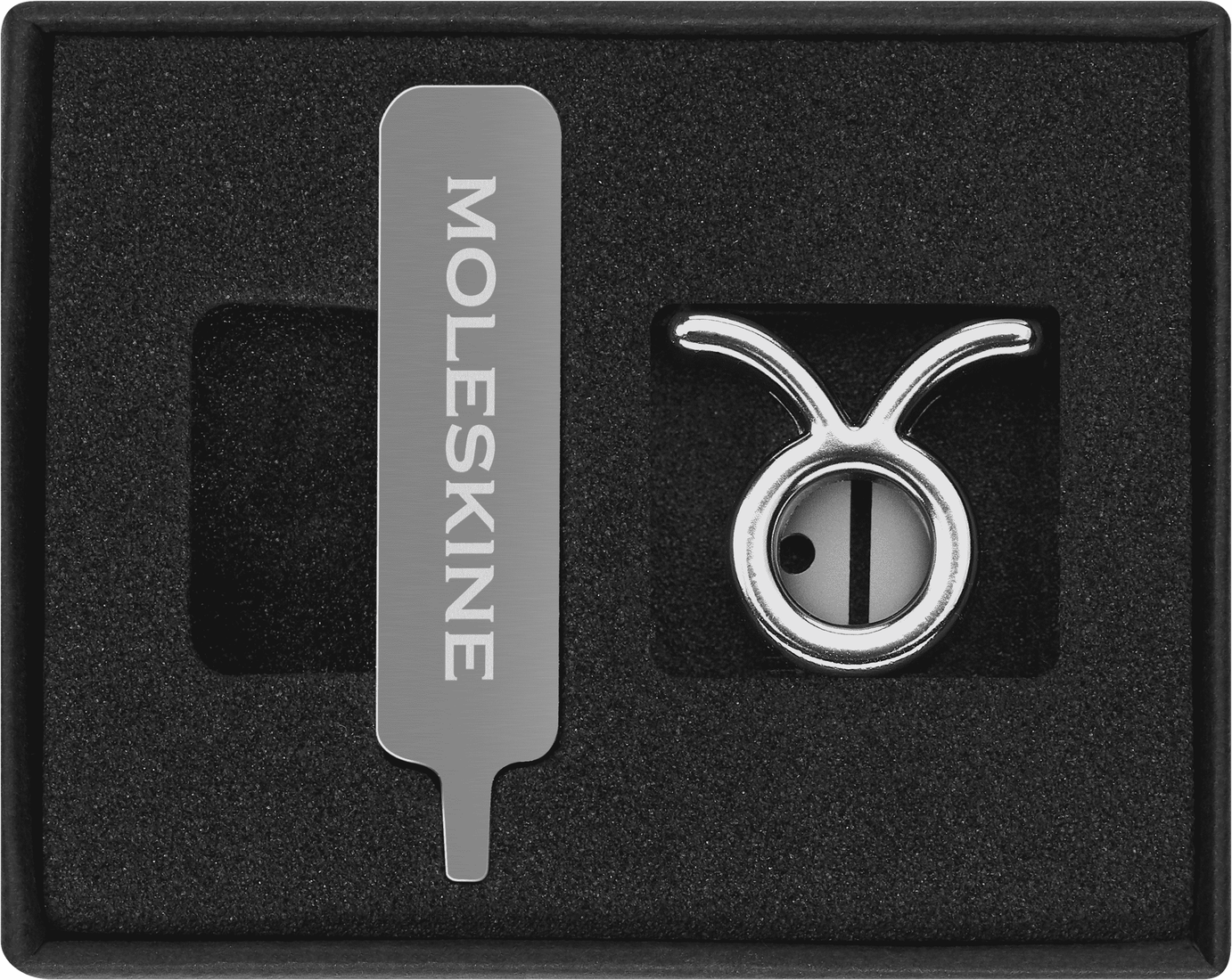 Moleskine Zodiac Pins - Silver