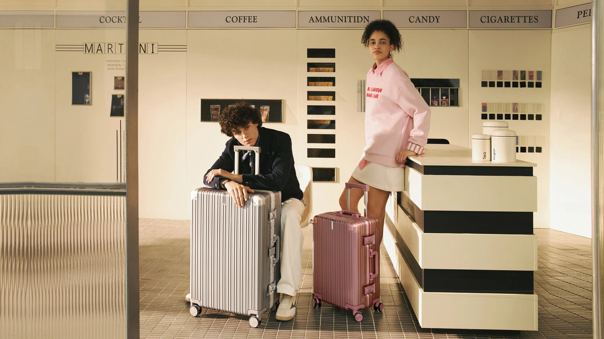 NINETYGO All Round Guard Luggage
