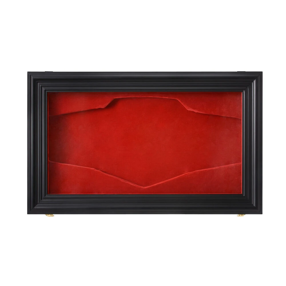 WWE Replica  Championship Title Display Case